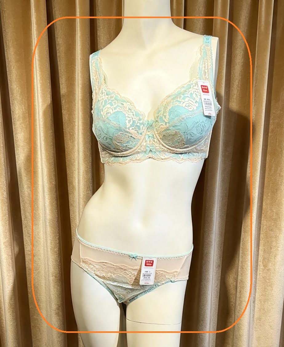 312068 溥杯型功能內衣(四排扣) C-D32-42 E-G32-44 內褲 _ M-XL